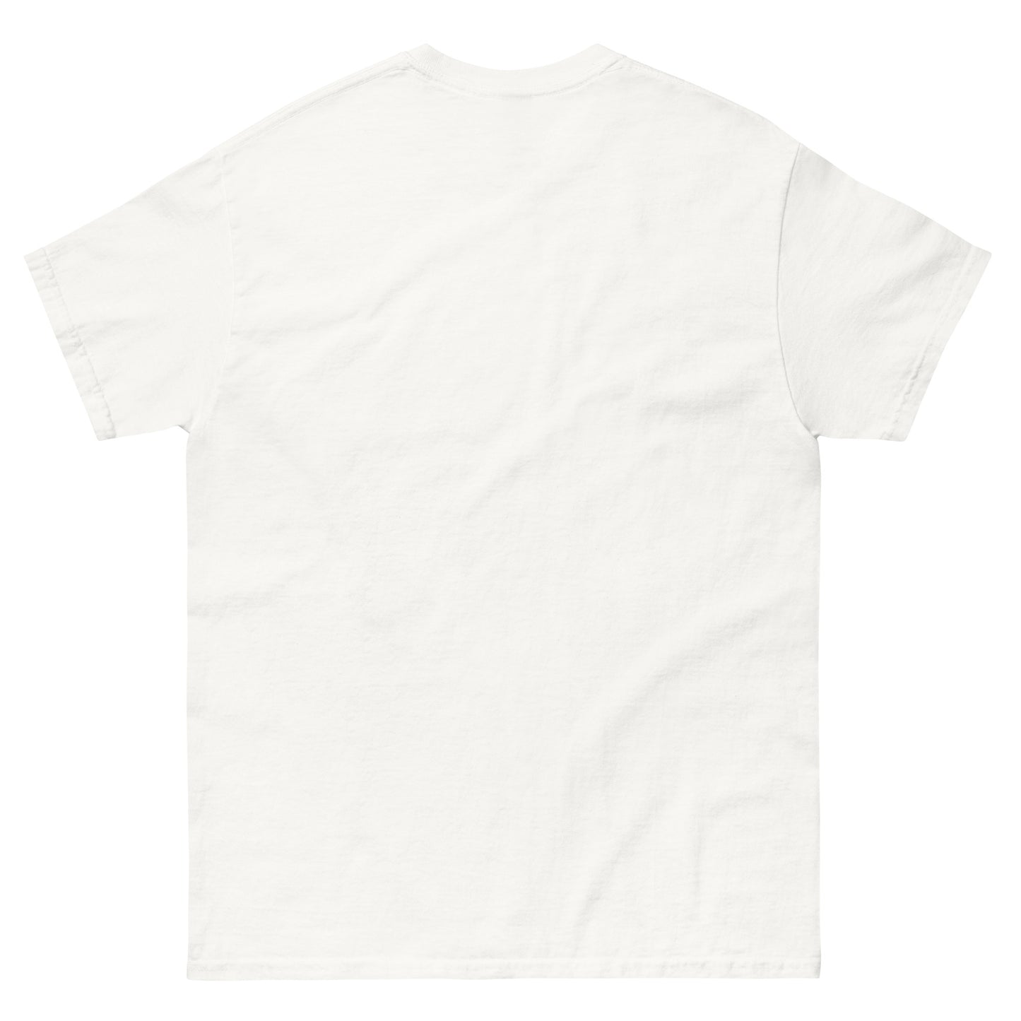 probably the biggest Unisex classic tee